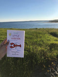 One Little Lobster Book - Pip and Daisy
